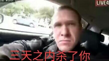 爱人TV之新西兰击杀王个人视角